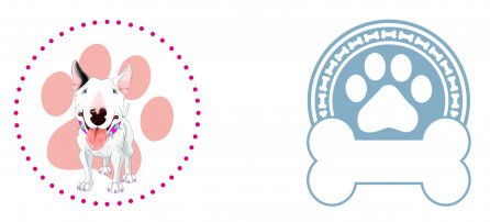 Dog, pet, bullterrier