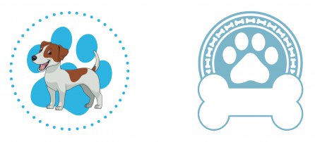 Dog, pet, jack russel