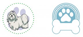 Similar design template: Dog, pet, malt
