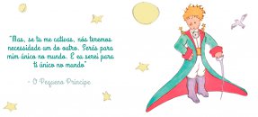 Similar design template: The little Prince